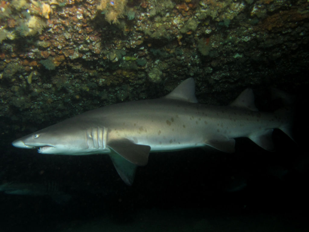 5c7057e3-a04f-4c78-a0bd-1f23b056325d