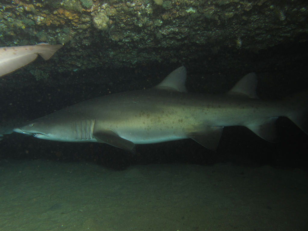 bcdeb42a-b97e-4b2c-ae5c-d1532786036a