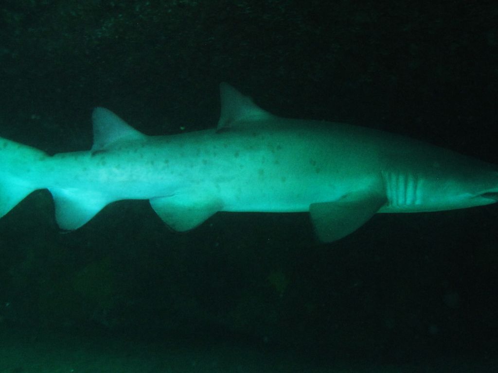 634d498a-e2f6-480a-9cf5-a0e800531146