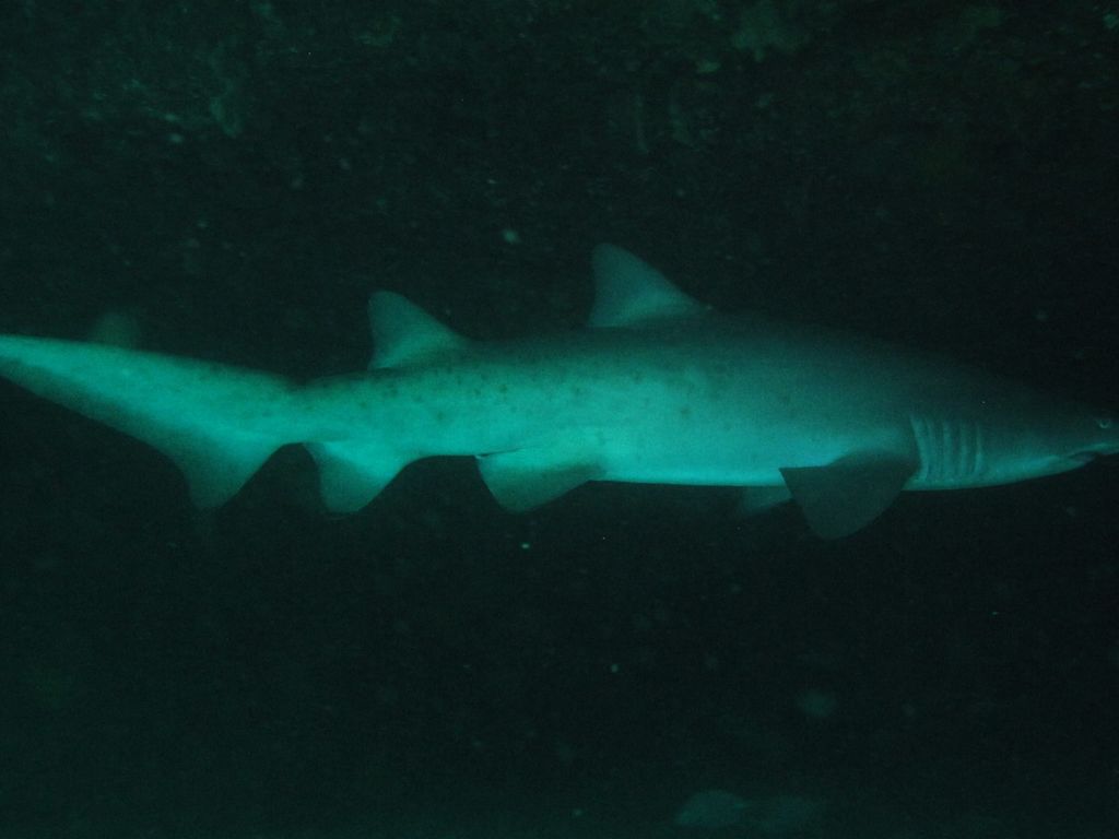 634d498a-e2f6-480a-9cf5-a0e800531146