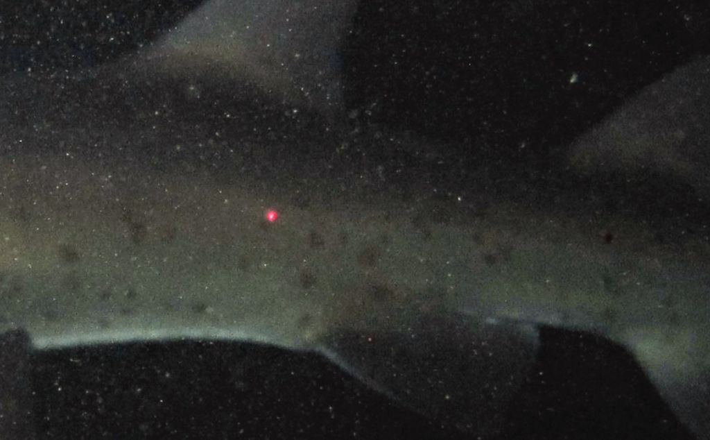 099d4efc-261a-4114-8bad-f54544406047