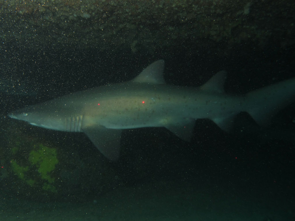 439ac240-00bc-421e-8ebe-27a7f5a7d845