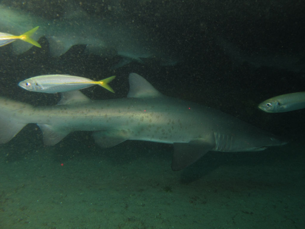 64b0f87e-7cca-405e-ae86-93ac62228e13