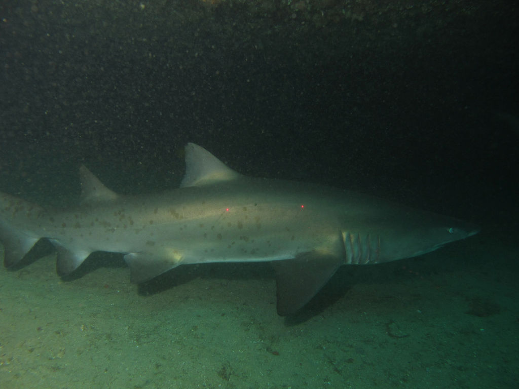 ecd3ac04-5426-44a0-b396-de906786621f