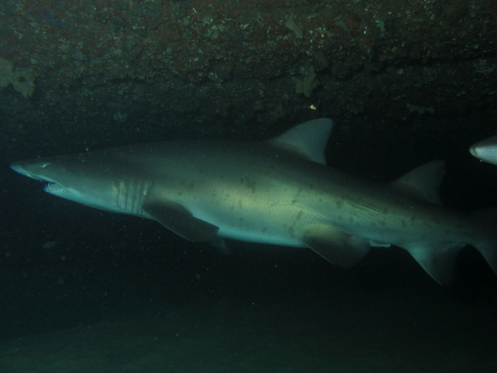 20e0331c-2b28-410e-9c47-975b8407bbf6