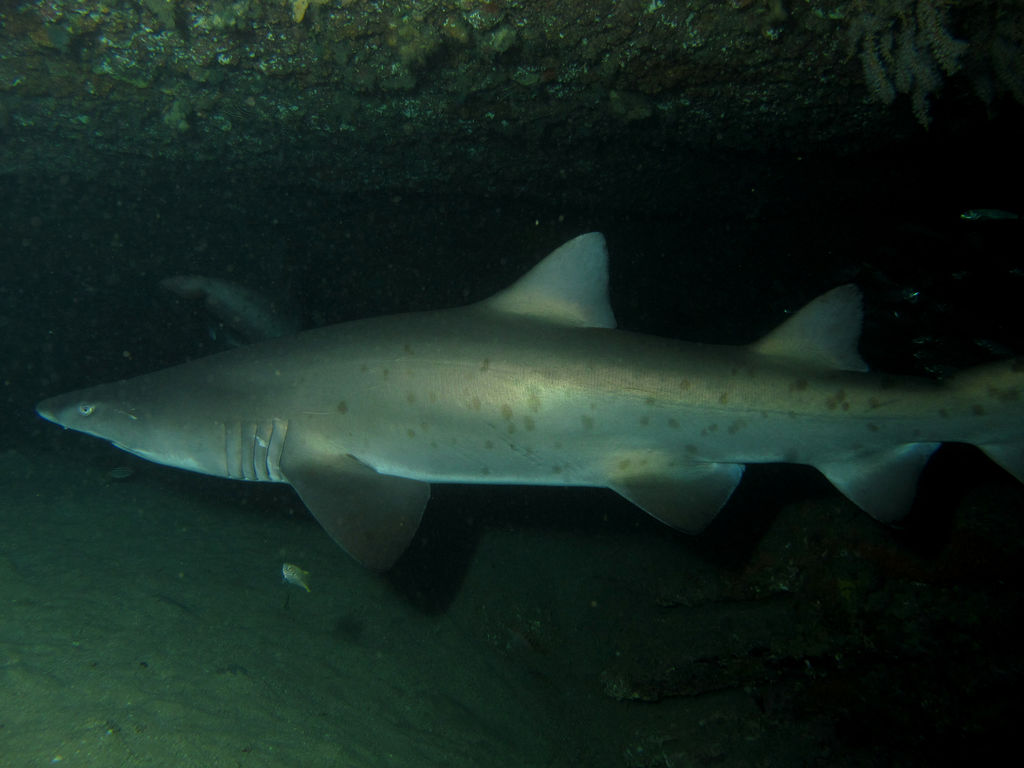 19e7962d-a46c-4d92-902f-8f91b282253b