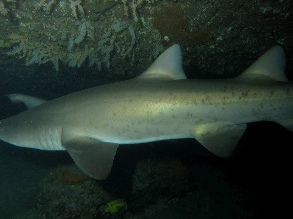 be704167-d3da-423a-9daa-e6682cbcfca5