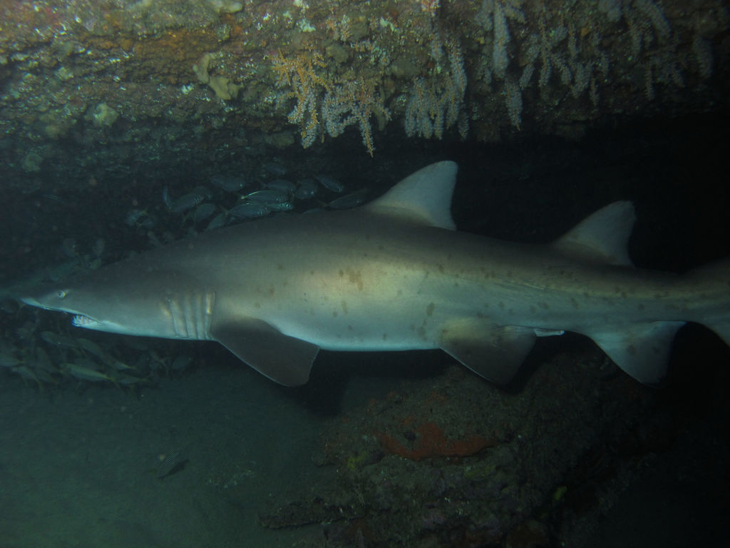 20e0331c-2b28-410e-9c47-975b8407bbf6