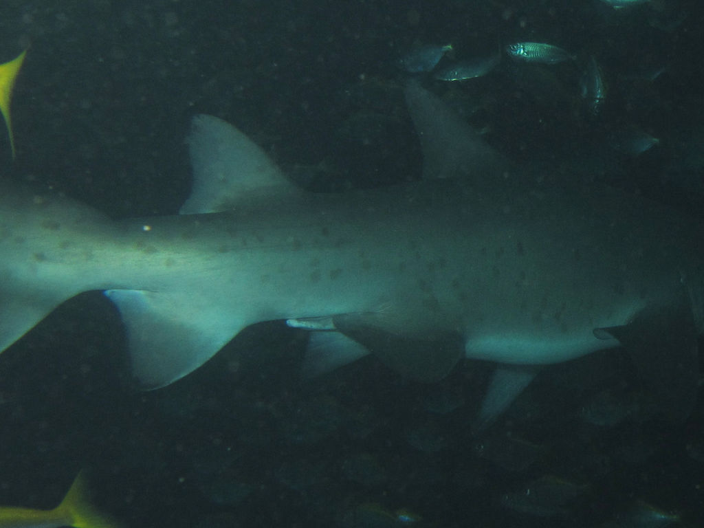 2262d5b5-ea43-4e6c-a529-b20e1c8cf34e