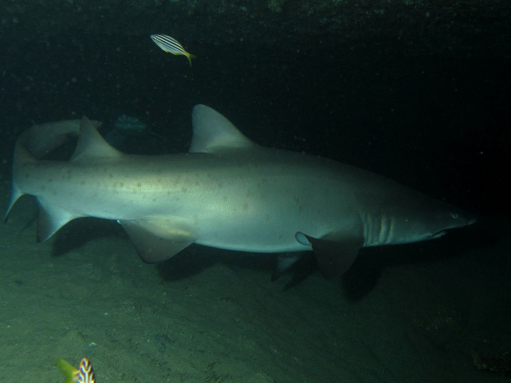 634d498a-e2f6-480a-9cf5-a0e800531146