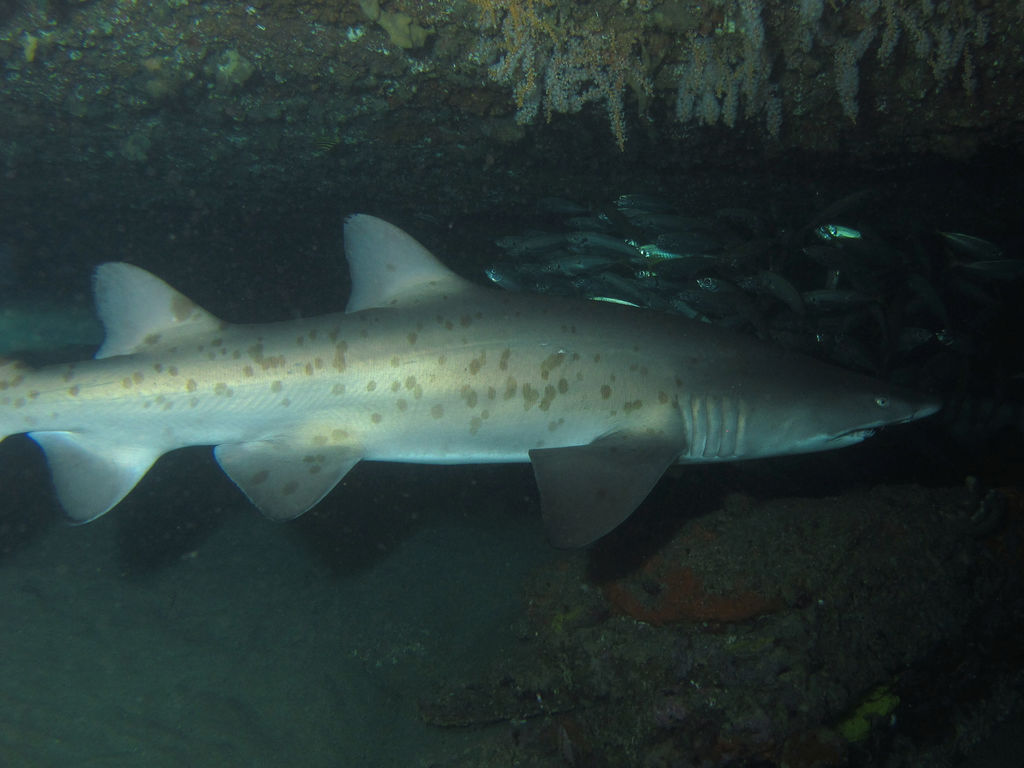 a74cda08-2141-45ef-a0ba-e04780794d7e