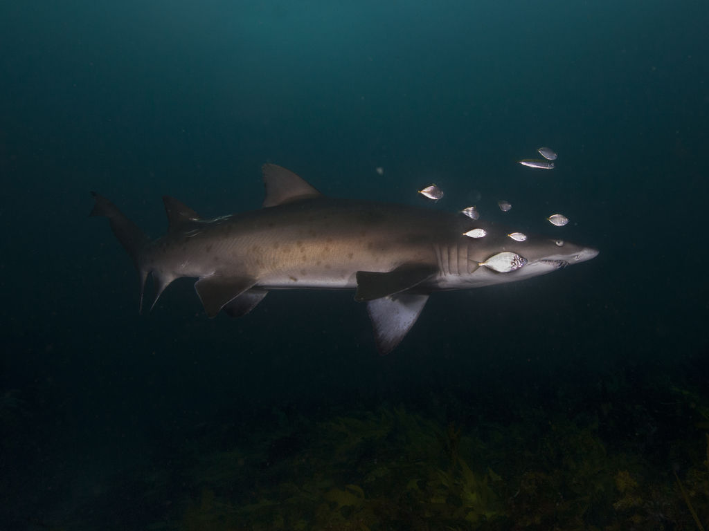 25f1c60e-41e8-459d-97d6-acc79fbe72cd