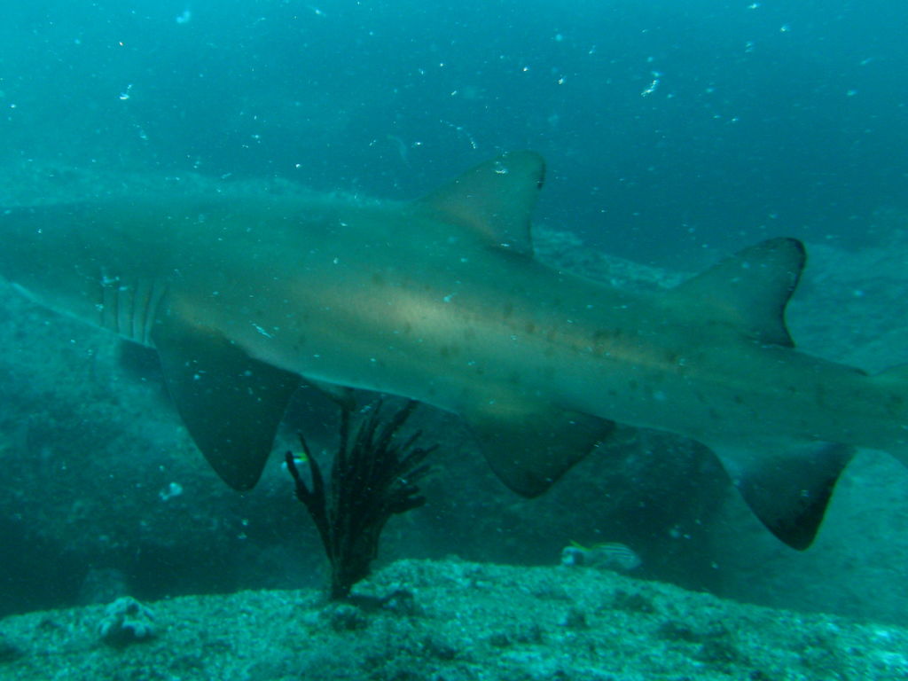 b9dfa09f-3c86-4dcd-97c3-24167347ca07