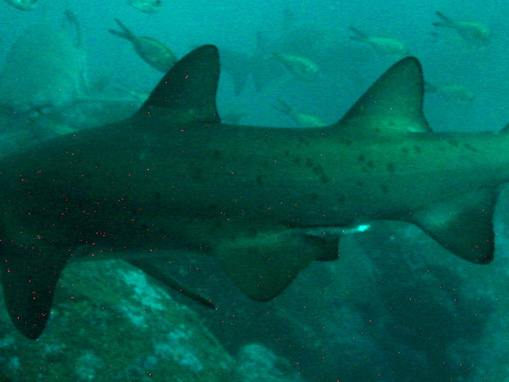 753ca70c-6afa-4aa4-adbb-53bfd0d0b07a