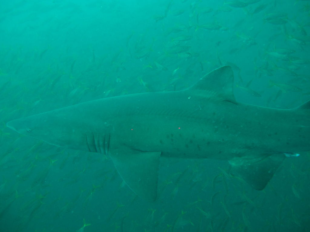 8df4acb0-7594-4548-bbcf-887bde352880