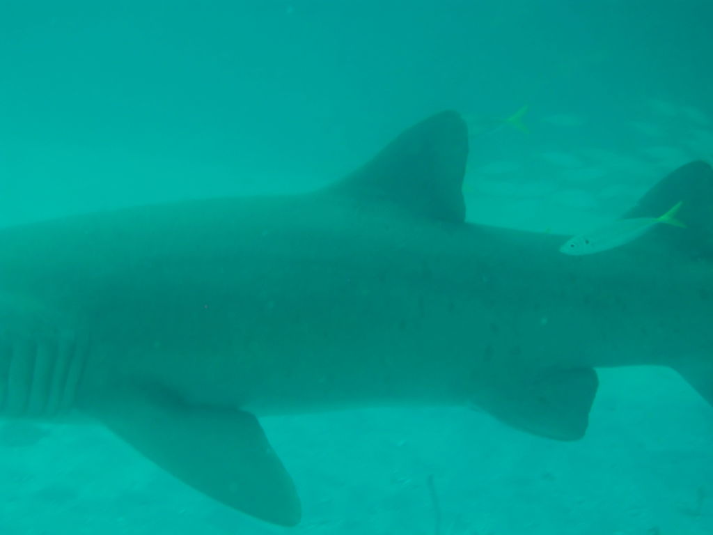 ab71fc3f-22a4-48d5-b9ee-f3dd8c8c8ce1