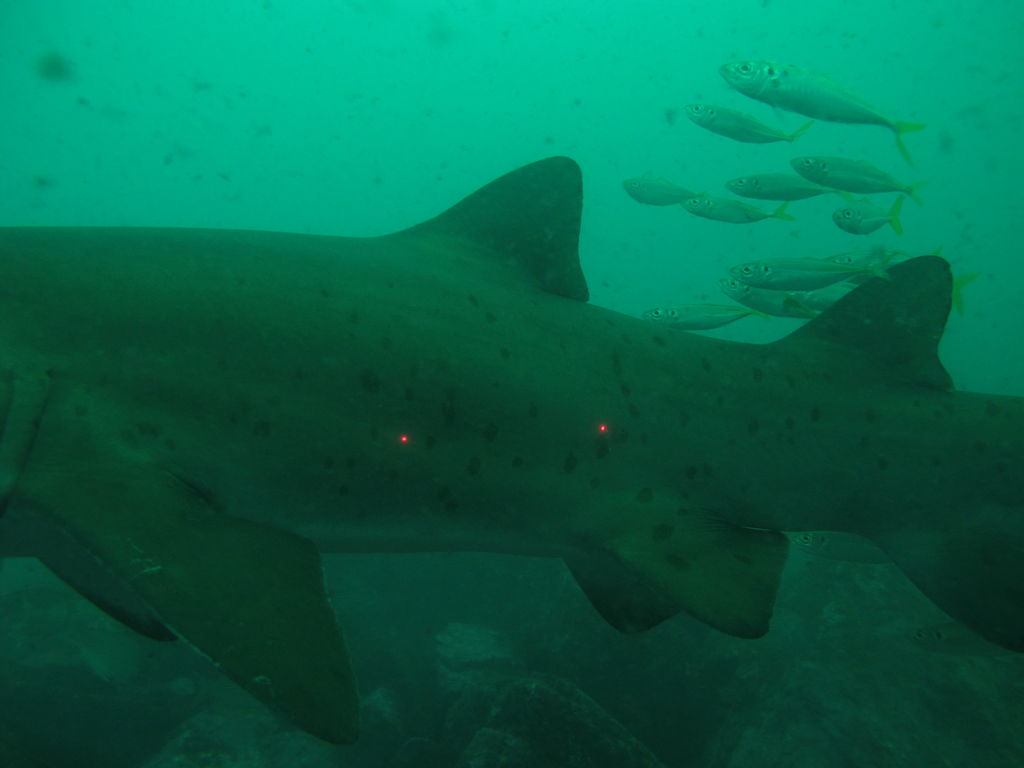 c86d29ae-6bb5-4418-8963-010d4445333f