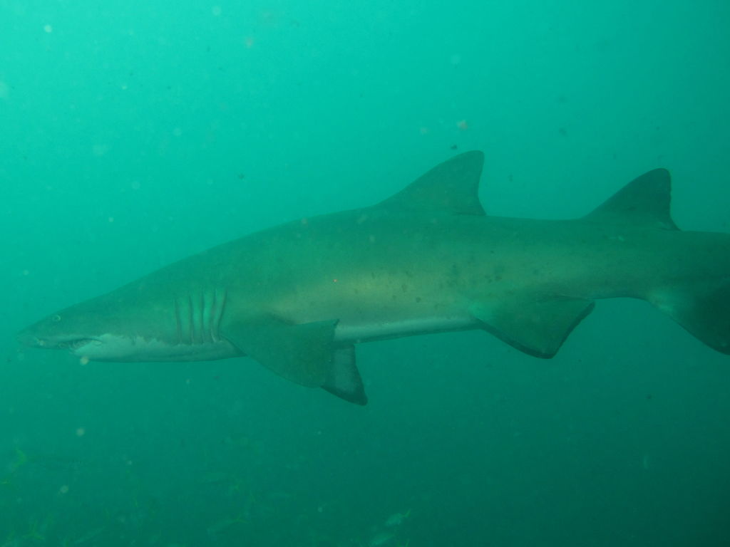 93617a30-2770-4374-bb4d-dccd4c341fc7