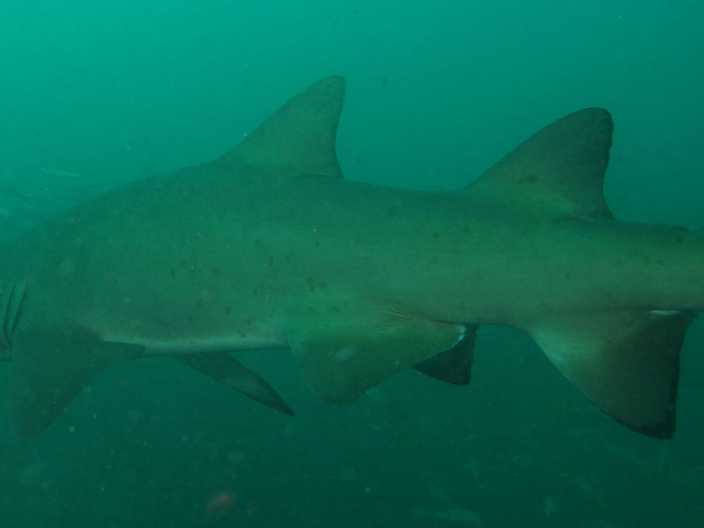 cfb6d54f-bc4e-4e28-94b3-d00755809616