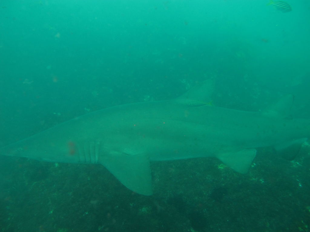 51565b11-a55d-462f-8d34-f2feb1e8a6dc