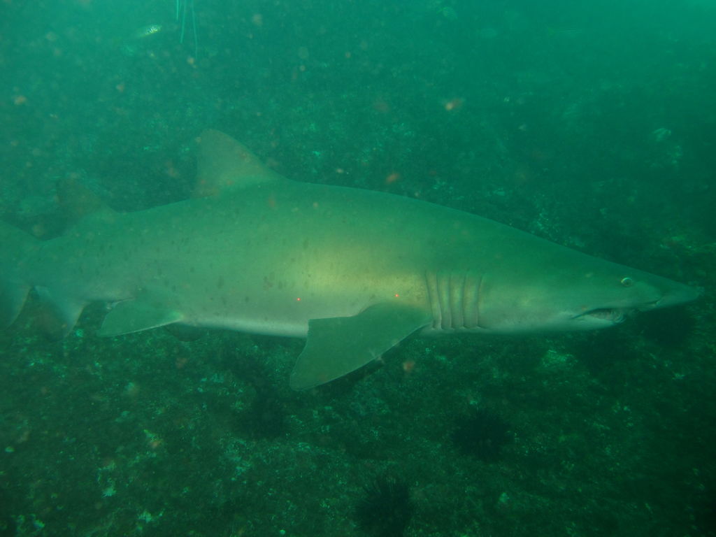 2c3d90e4-292d-44e0-821f-7fdb42bbf8fc