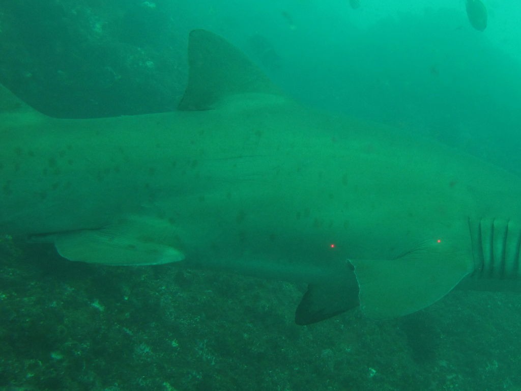 18a22fac-c802-4b7e-b43f-40b761b8ae43