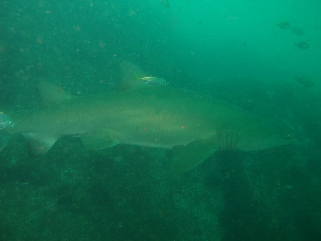 18a22fac-c802-4b7e-b43f-40b761b8ae43