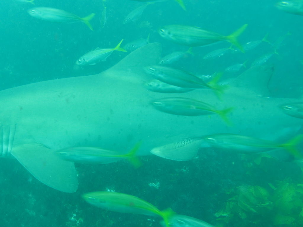 6e3121c8-ee2c-4503-8234-6516d6a662f5