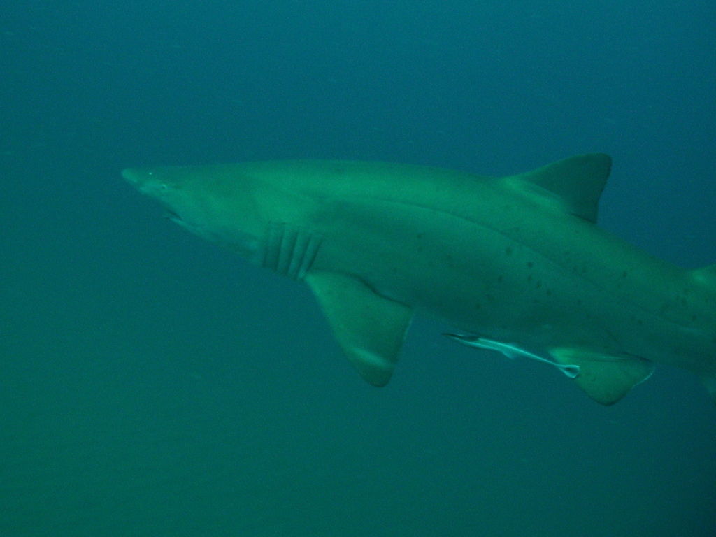 2fd791c0-9c26-44e3-b6cb-3ec02d51b928