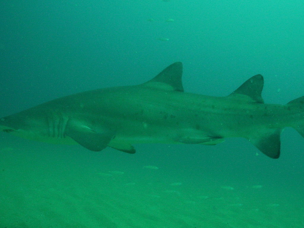 67219af0-0887-4fca-8e8a-21a719444584