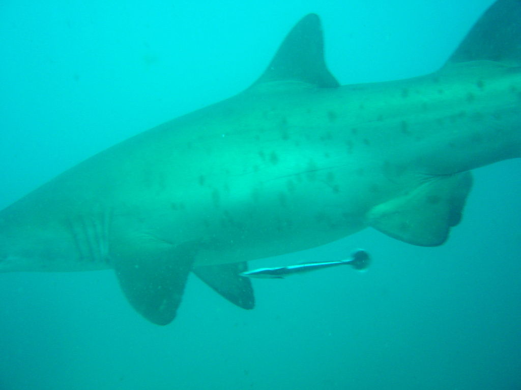 3ac1a178-97da-4639-872b-dfab4f3adee5