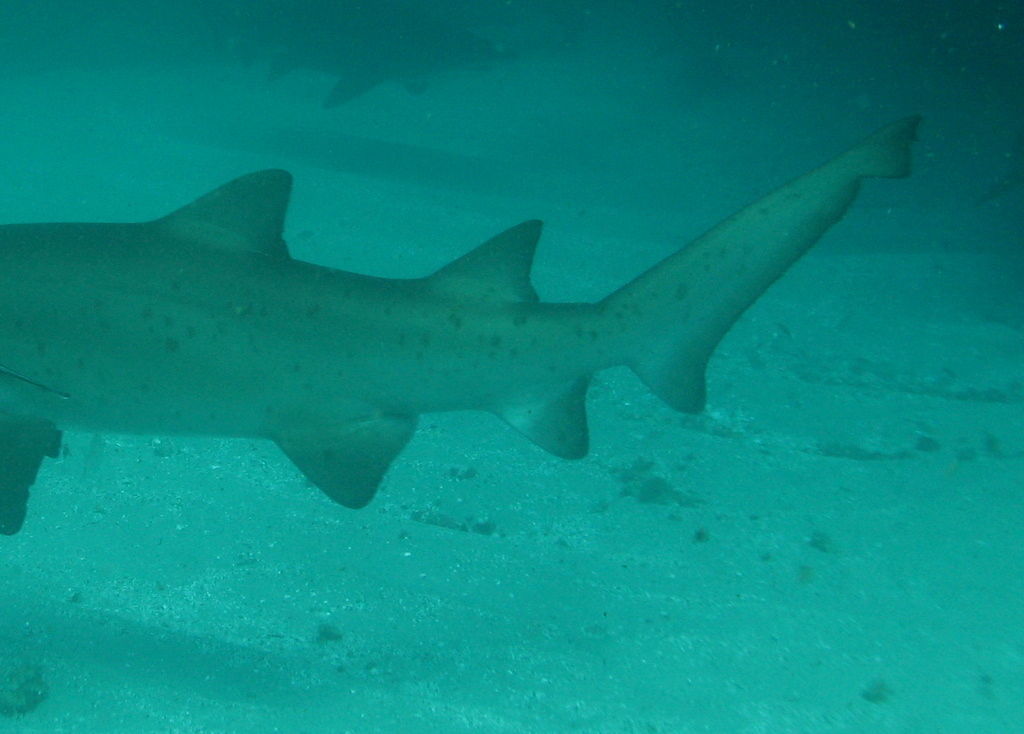 e388a241-fa1d-4be3-93cc-0d0be2c3bb08