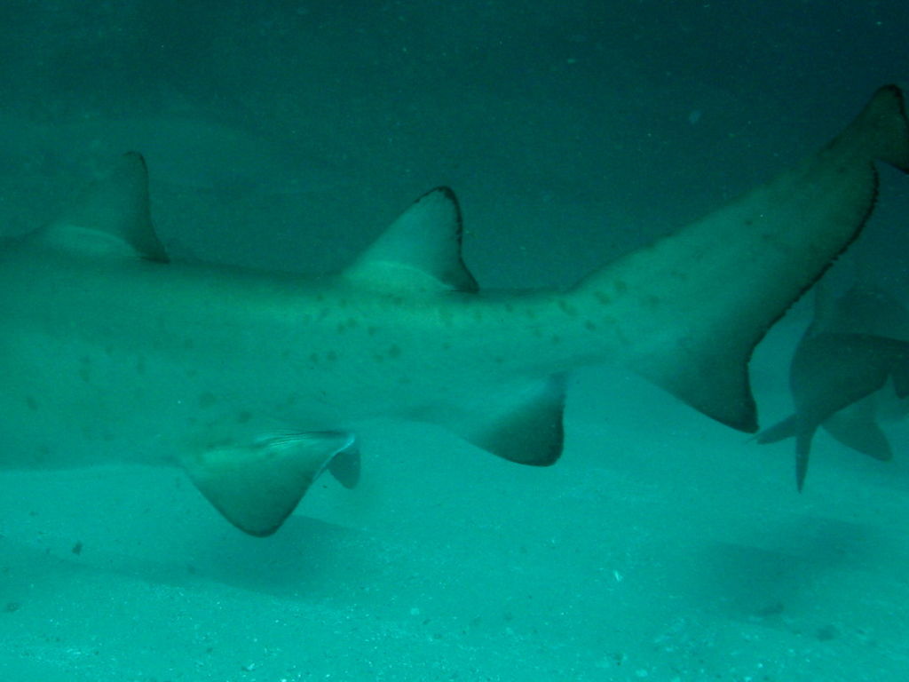 1abc3853-0528-4d43-bf74-7e7d578e7062