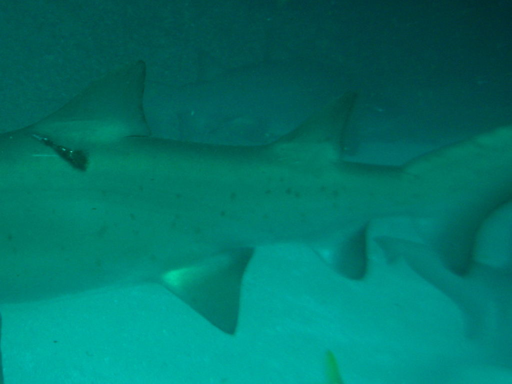 2c140f96-885e-4a7b-95e7-32b50d6b9e76