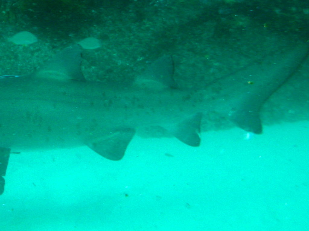 e6f0f9b9-4a69-4762-9391-9490b0b90e7a