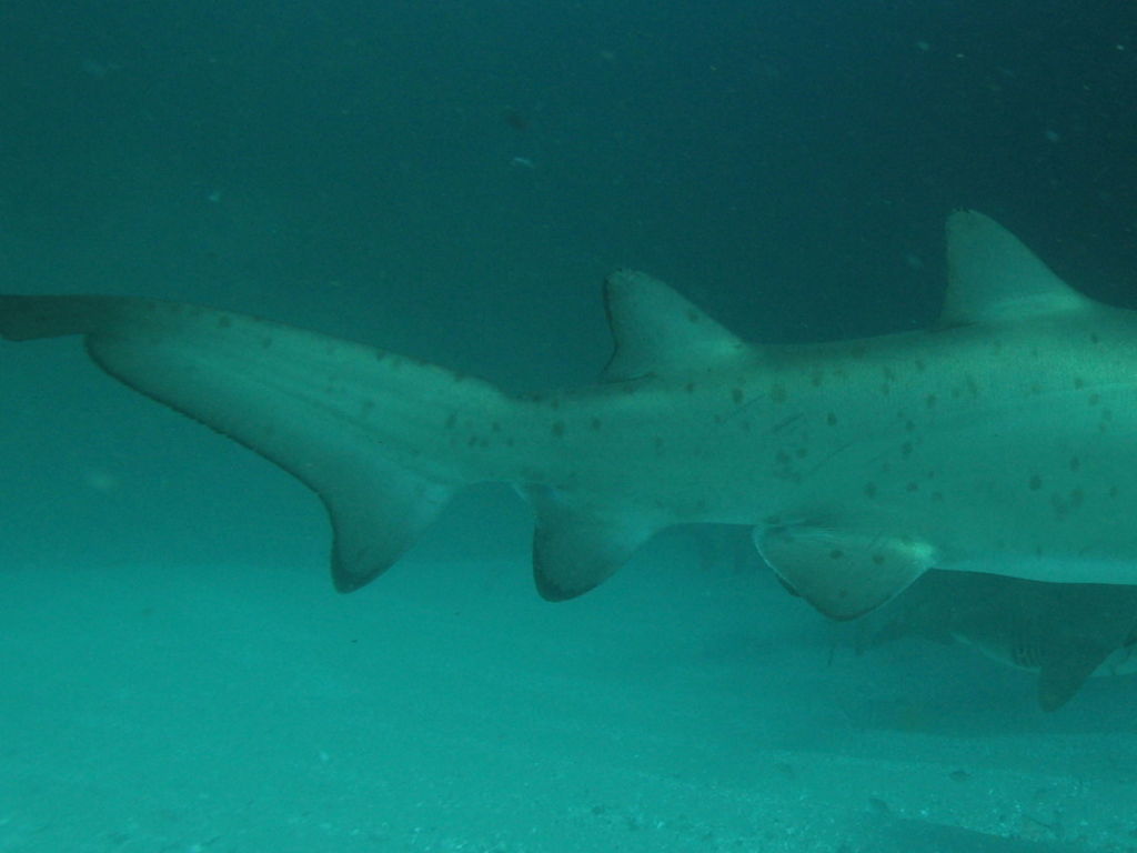 8e4db807-4c25-4a20-b1c2-f05954184c17