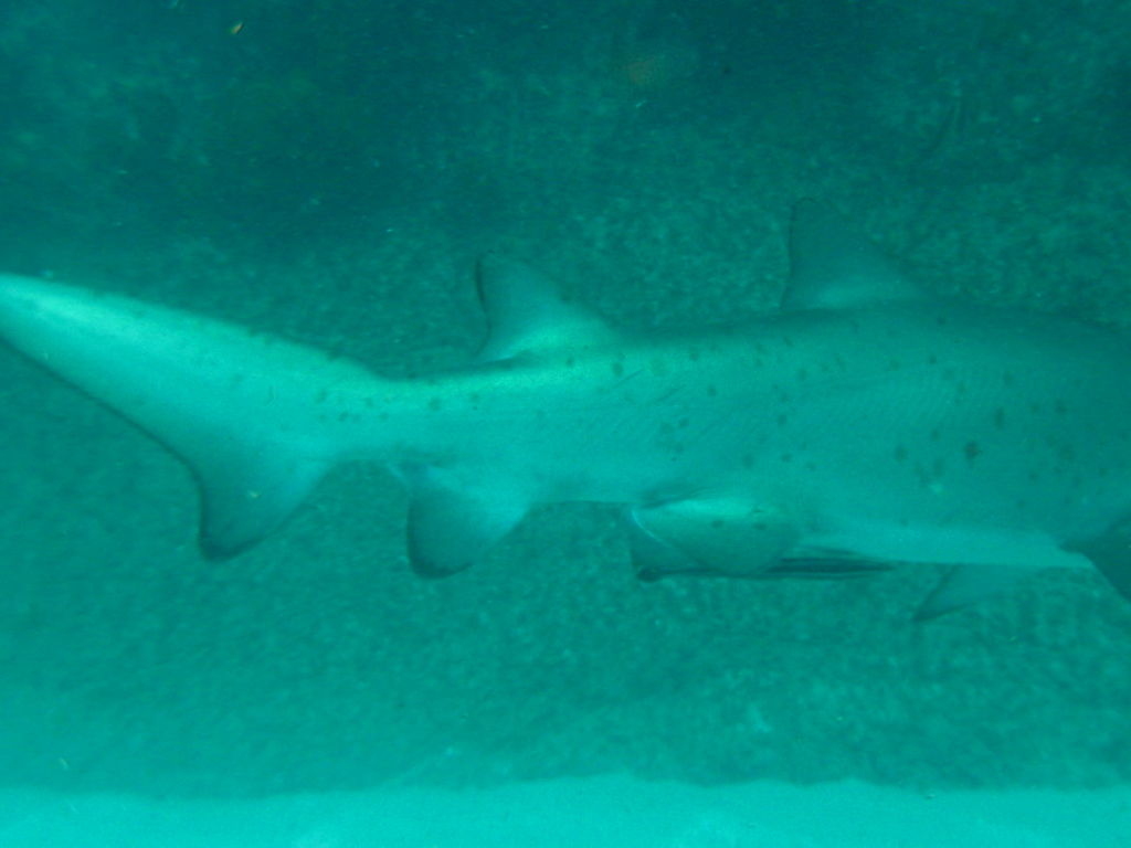 8e4db807-4c25-4a20-b1c2-f05954184c17