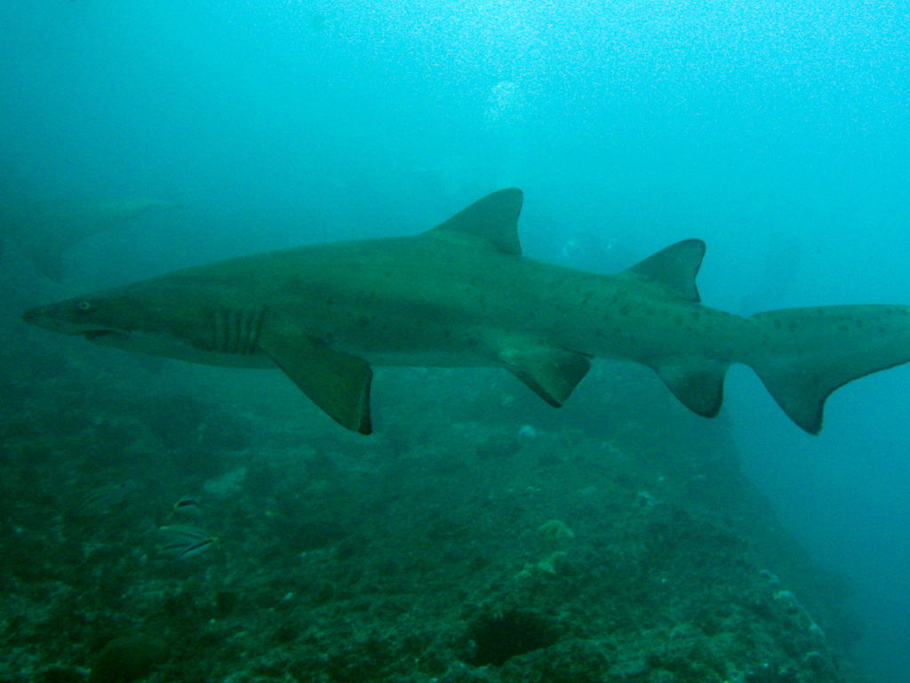 9656cd85-b832-47e9-a20e-490ee5b33dd1