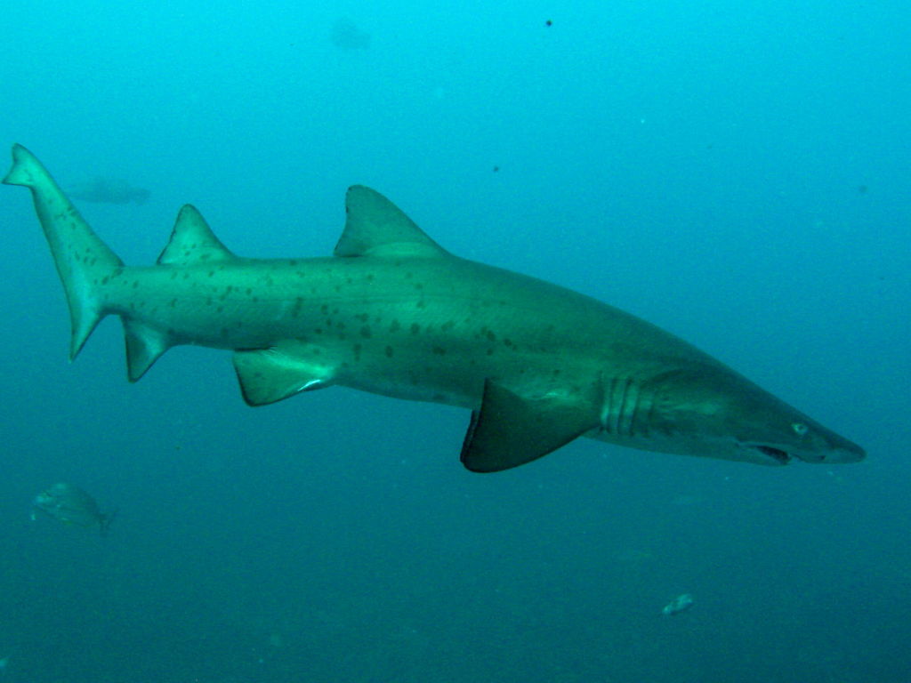 133e60c9-fdd8-4023-8a3d-f7f0461b1420