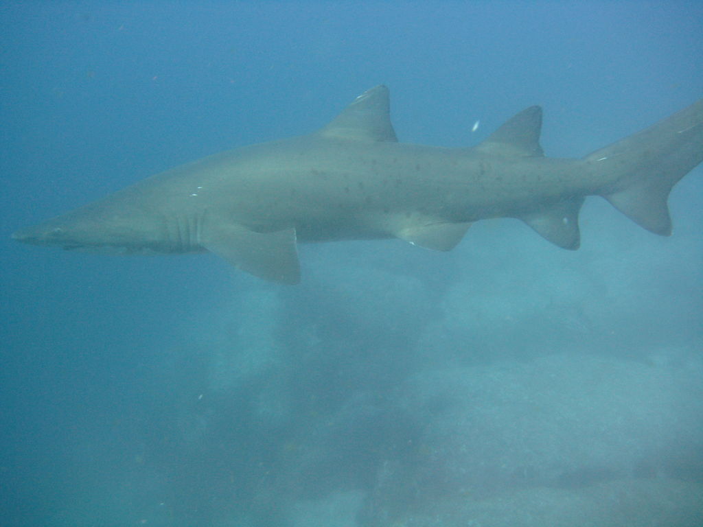 48a1650a-fa1c-487b-adda-65ff56c5762f