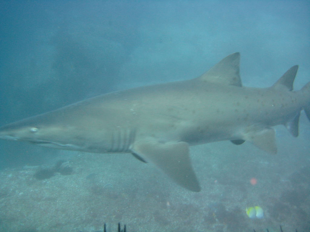 0ce995c7-bb61-48c1-b13a-42b980b38404