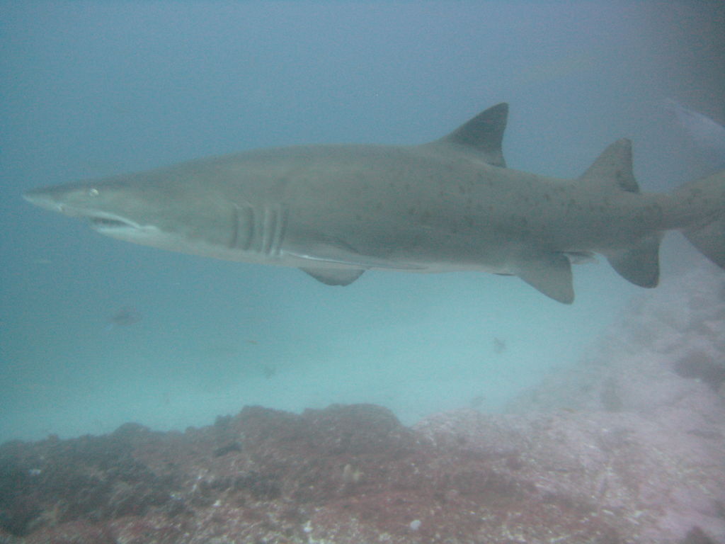 e06229b4-04a0-4e02-8089-5a754a4adbbe