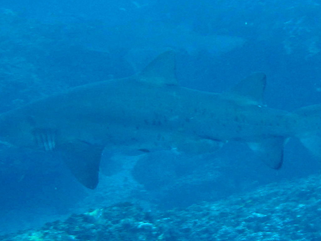 0764847a-52e1-4328-96a7-809a6bc58f16