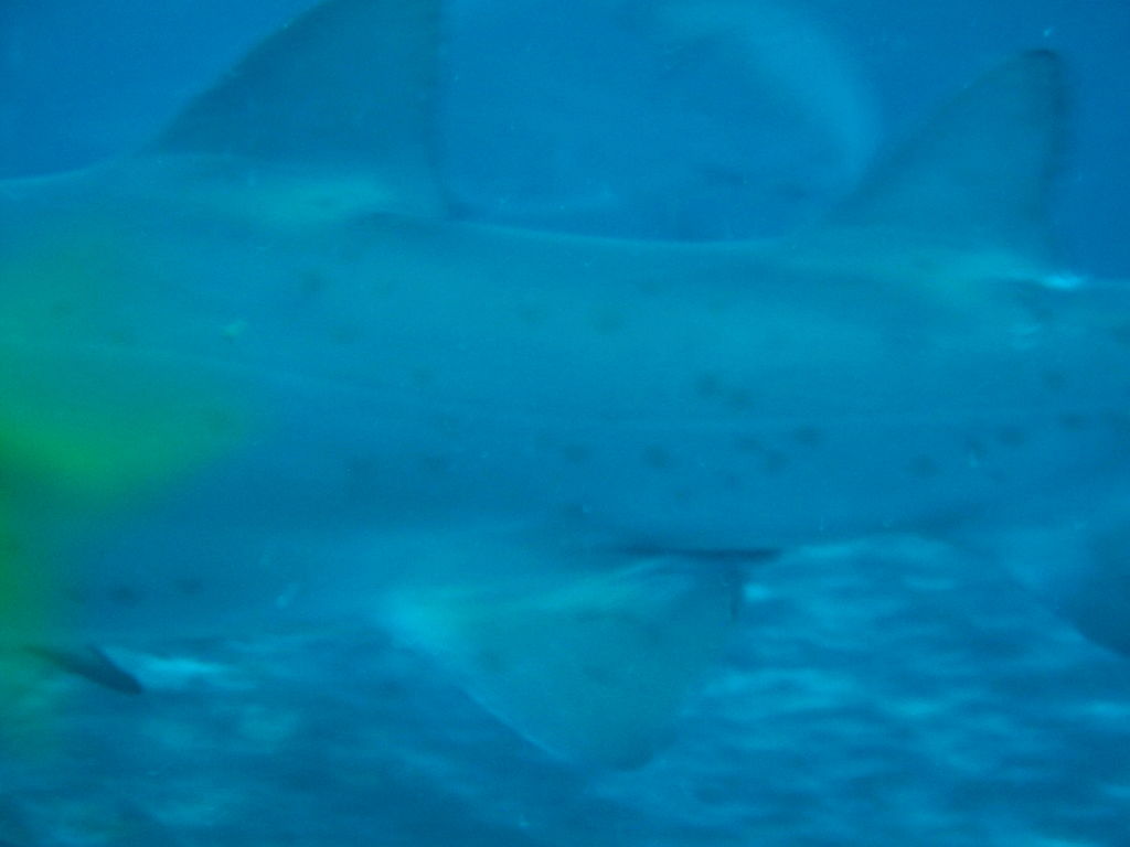 399cca9e-76bb-4b01-a0a7-ce771c9fad68