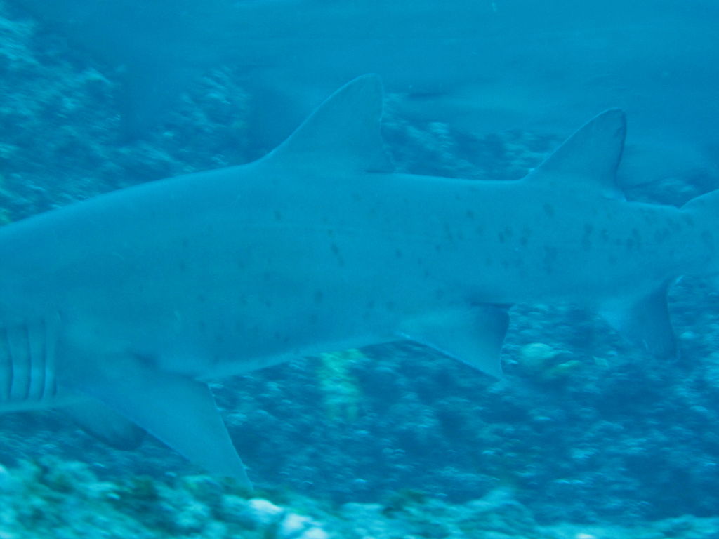 774e3102-755a-43ae-95d6-18e81bf58905