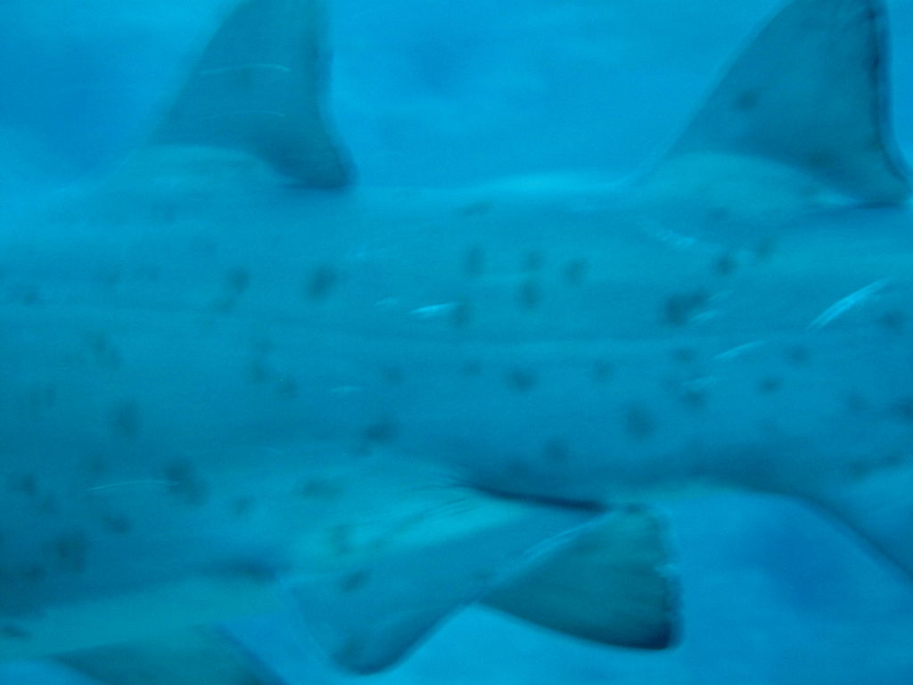 079ff914-6c05-465f-a034-ef87eed34749