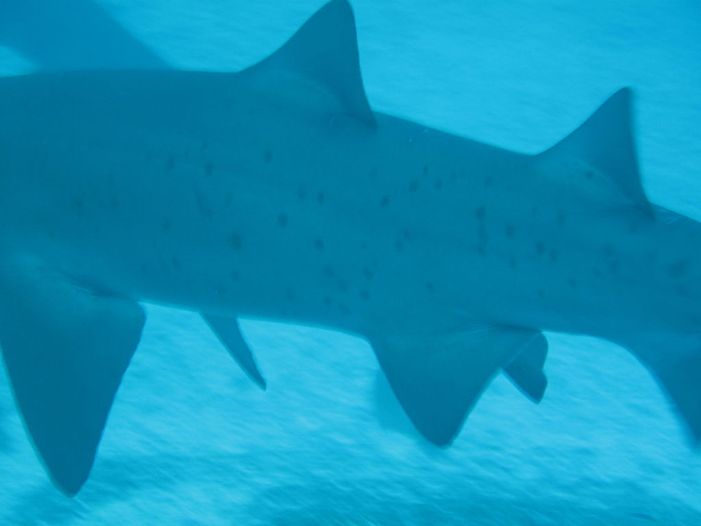 69d9589f-456a-41b3-aa6d-9687bf1f83c8