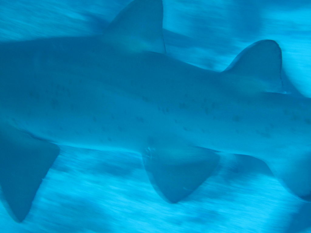 296ad35b-6a42-473c-a670-70d3c02b6dce