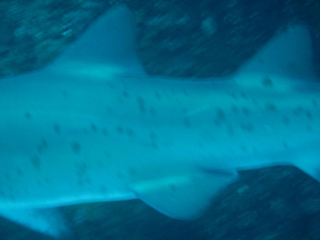 0ac70106-5a54-4ec9-87be-1b108dde41fa