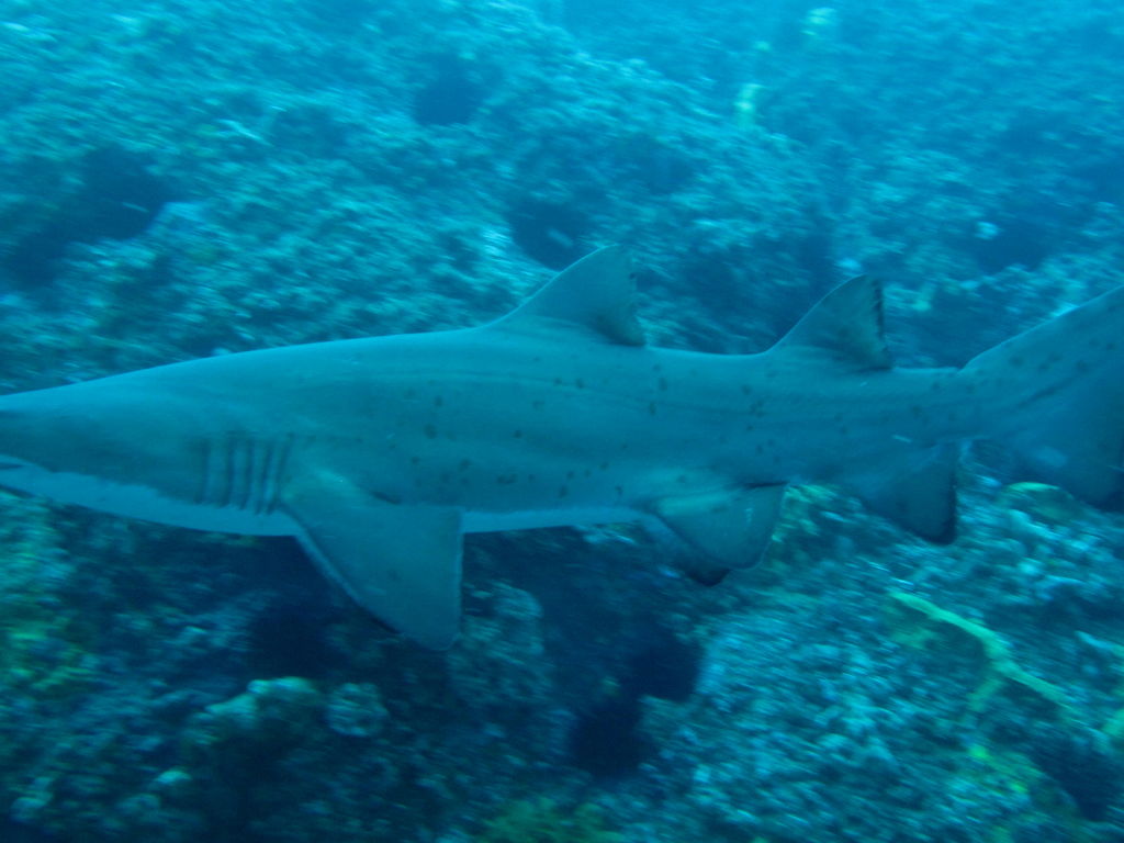 918d2f0a-d497-4589-828c-9083a12561d9